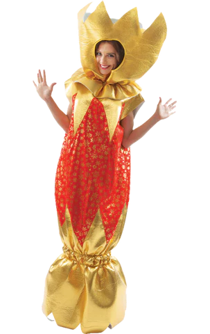 Red Christmas cracker costume